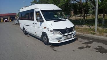 bakı şəki avtobus qiyməti: Avtobus, Bakı - — 12