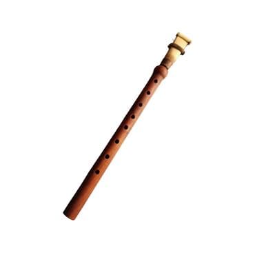 каркасные бассейны в баку: Balaban 

Ərik ağacı — 1