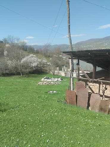 qubada satılan həyət evləri: Dağ mənzərəli torpaq sahəsi və köhnə tikili - Geniş yaşıllıqla — 10