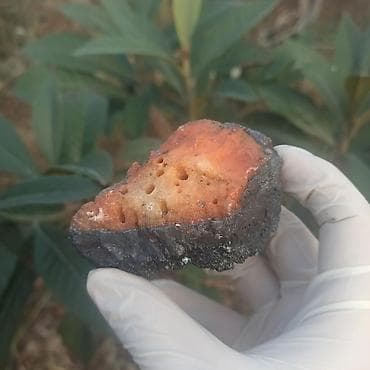 neftci forma: Nadir Təbii Vulkanik Daş Satılır 🔥 Dekorasiya və Kolleksiya üçün 💎 — 4