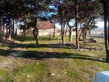 xacmazda dasinmaz əmlak: 15 sot, Mülkiyyətçi, Bələdiyyə — 7