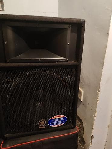 kalonka alisa: Yamaha passiv səsgücləndirici (model etiketində: S115V) Apatura — 7
