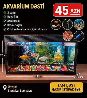 akvarium baliqlari satışı: Akvarium dəsti – tam istifadəya hazır! Dəst tərkibi: - 3 balıq - Hava — 1