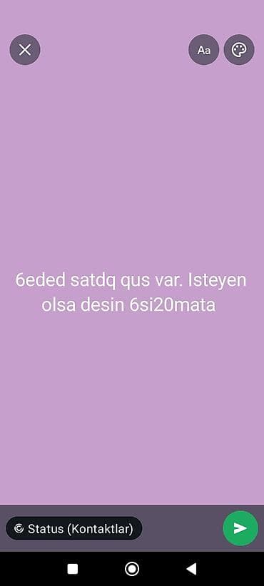 ağ göyərçin: Məhsul: 6 ədəd quş Təsvir: - Ümumi say: 6 ədəd - Növ: Ev quşları/ — 1