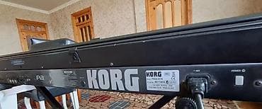midi klavye: Sintezator, Korg, İşlənmiş — 8