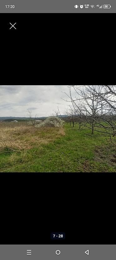 gence emlak satisi: Kənd təsərrüfatı — 6