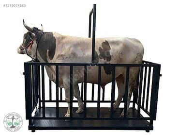 elektron tərəzi qiymətləri: Tərəzi (Qapan), Nağd ödəniş — 1