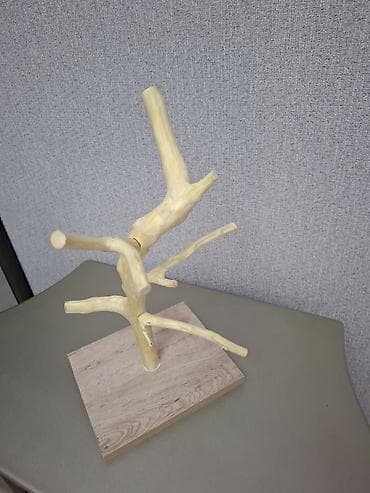 etibarli ellere it: Tebii budaqdan hazirlanib 
papuqay satilmir — 4