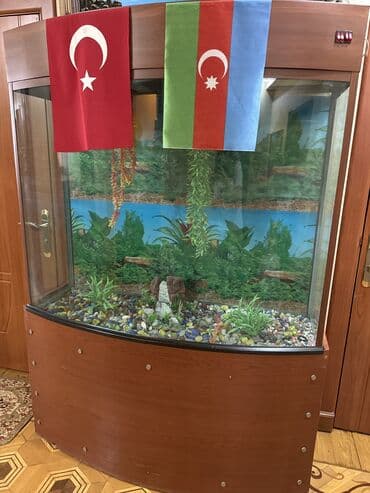 продажа аквариумных рыбок: Dördbucaq akvarium, 100 l, Pulsuz çatdırılma — 1