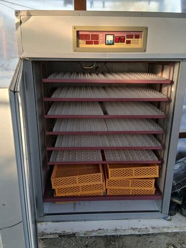 Süd sağan aparatlar: 1100 yumurta, Çin, Tam avtomat — 2