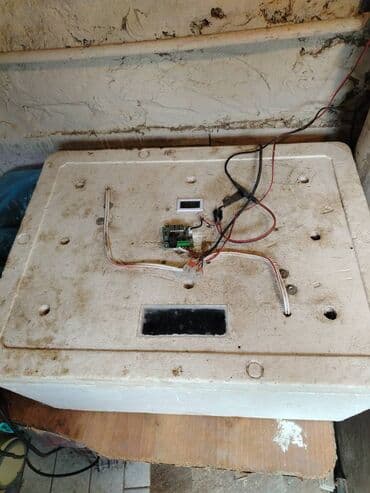 Автосервисное оборудование: İşlek vəziyyətdədir — 3