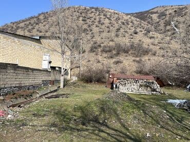 ismayıllı cülyan kəndi: 12 sot, Kənd təsərrüfatı, Mülkiyyətçi, Kupça (Çıxarış) — 12