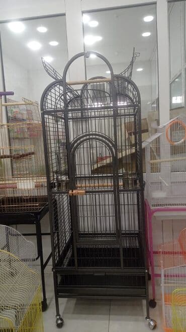 quş qəfəsləri: Qəfəs 9azn Valnisti Tutuquşu Qəfəsi 9azn Amadin Bülbül Qəfəsi 9azn — 26