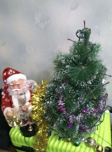 купить живую елку в баку: Yolka işıq oyuncaq, papaqlar ve şaxtababa ile birlikde satılır — 1