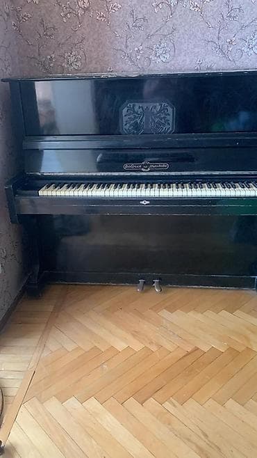 Велоаксессуары: Пианино, Акустический — 2