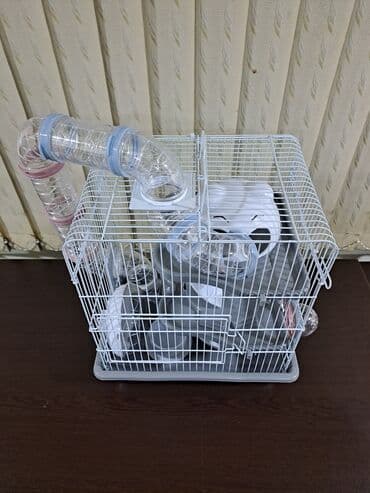 xamyak qəfəsi: Xamyak qəfəsi (cunqarik qefesi) Xamyak qəfəslərimizin 3 növü — 23