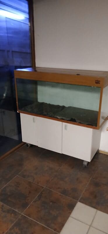 Balıqlar: Dördbucaq akvarium, Boş, 300 l — 4