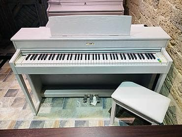elektron gitara satisi: Çin istehlası olan Mayga elektro pianolara böyük endirim. Polifoniya — 1