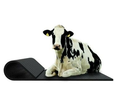 подготовка к орт индивидуально: Heyvan yatağı İri buynuzlu heyvanların ət və süd veriminin artmasina — 1