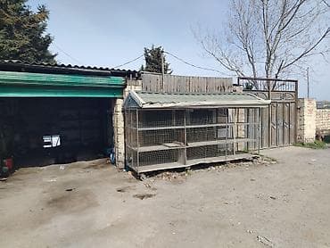 ipatekada olan evlerin satisi: Digah, 100 kv. m, 6 otaqlı, Hovuzsuz, Su — 10