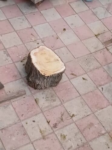 traktor 892 qiymeti: Et doğramaq ucun kotuk real alicilar ucun endirim var basqa kotuklerde — 5