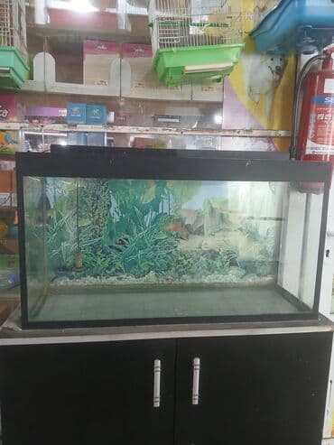 Akvariumlar: 140litir su tutumu Uzunluqu 90sm Hundurluyu50sm Eni 31 sm 150Azn — 1