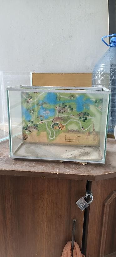 Şüşə akvarium. Akvarum. Ölçüləri; uzunu 30 sm, eni 14 sm, hündürlüyü