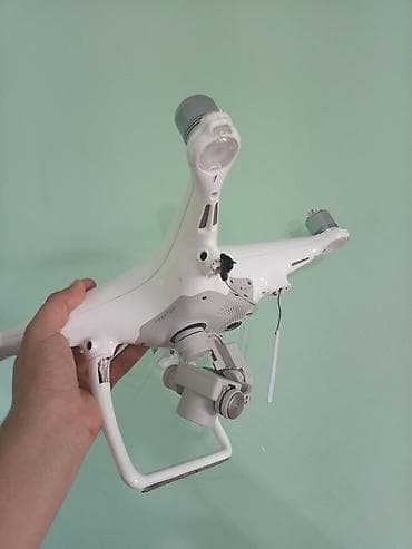 sicanlari nece mehv etmek olar: Fly rəng - Ağ, Qırıq — 4