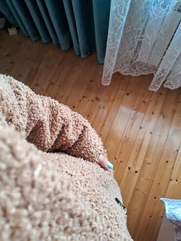 kurtkalar qiz ucun 2023: Paltolar — 2