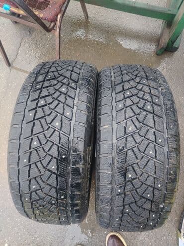 priora tekeri: Məhsul: Avtomobil şinləri - Növ: Yay və qış komplektləri - Görünüş — 2