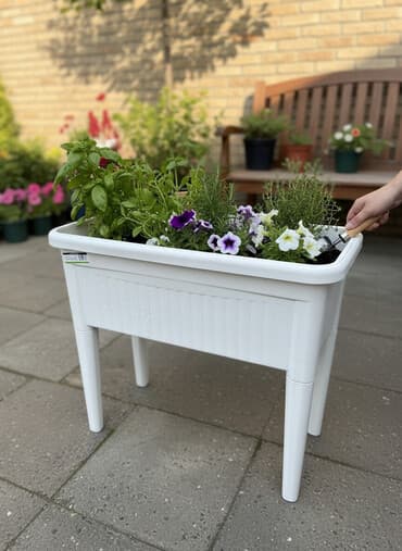 горшки для цветов: Горшки для растений — 1