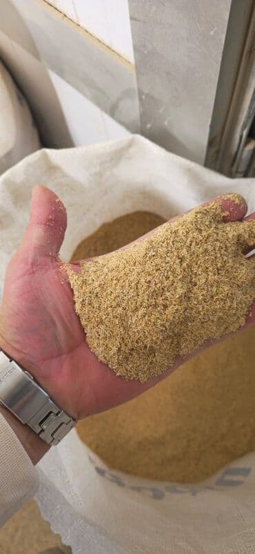 en yaxsi bugda sortu: Düyü kəpəyi satılır – yüksək keyfiyyətli heyvan yemi Qiymət 0,25 qəpik — 2