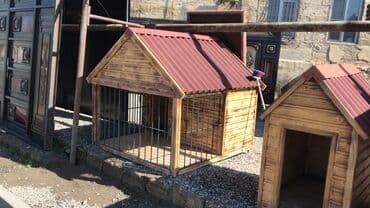 it yuvasi: It yuvasi — 4