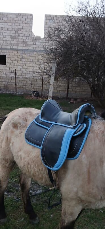 en ucuz hoverboard: Yəhər satılır at üçün gözəl dizaynı və uyğun qiymət bizdə yeher — 1