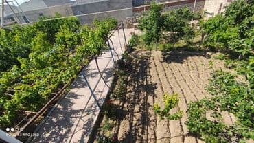 домики в набране: 7 otaqlı, 250 kv. m — 18