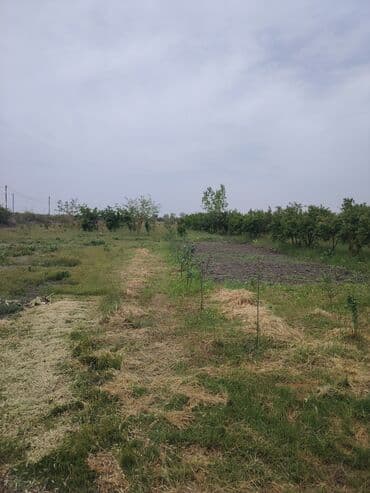 kirayə ev 3 otaq: Kürdəmir, 3000 kv. m, 2 otaqlı, Hovuzsuz, Qaz, İşıq, İnternet — 8