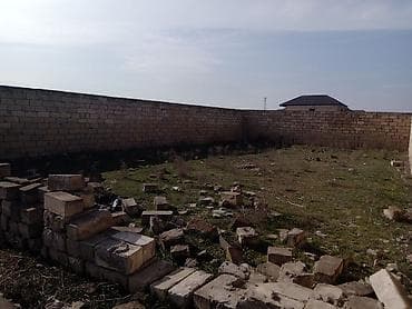şirvanda torpaq satışı: 2 sot, Kənd təsərrüfatı, Mülkiyyətçi, Kupça (Çıxarış) — 2