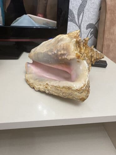 qedim saatlar: Əntiq saatlar — 5