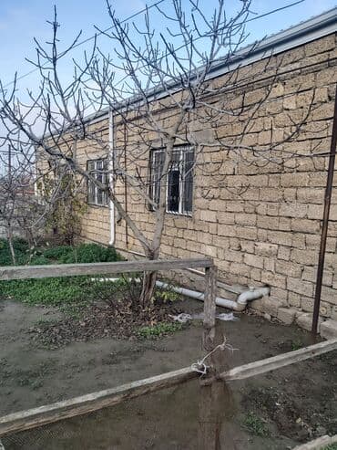 Boşqablar: Satılır: Həyət evi (şəkillərdə göstərilən) - Geniş mətbəx: asma — 7