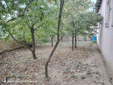 hokməlidə həyət evləri: Obyekt: Həyət evi Təsvir:Gözel tebiet panaraması var. Temiz dağ — 9