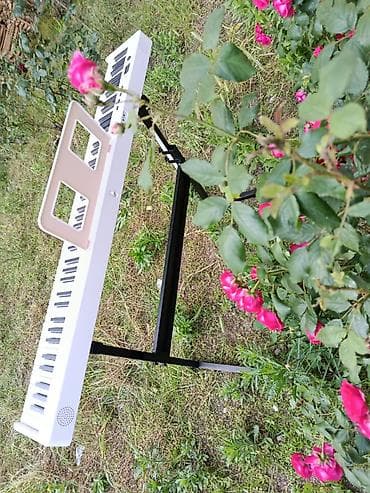 mp3 yüklə: Piano, Rəqəmsal, Yeni, Pulsuz çatdırılma — 9