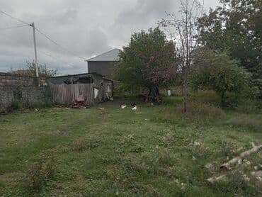 куплю дом в баку: Satılır: yaşayış evi və yanında fəaliyyət göstərən kiçik market binası — 5