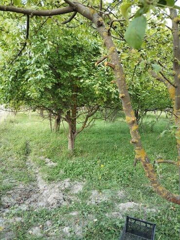 günəşlidə 2 otaqlı evlər: QUBA. Şəhərin girəcəyində Quba mərkəzinə 1 kilometr yaxınlığda, Ərazi — 2