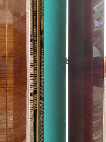 akustik gitara qiymetleri: Piano, Belarus, Akustik — 3