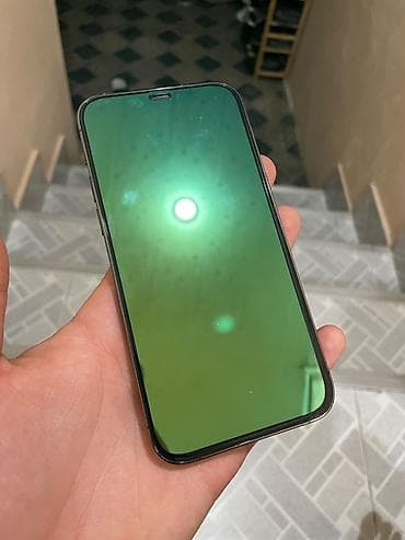 mac pro: IPhone 12 Pro, 256 GB, Graphite — 8