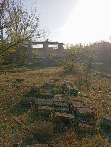 купить землю в азербайджане: 30 соток, Для сельского хозяйства, Риэлторам не беспокоить — 4