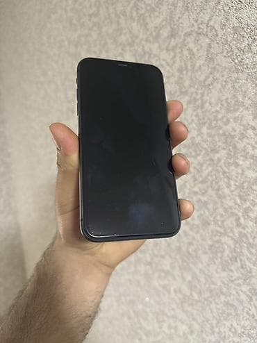 IPhone 11, Qara