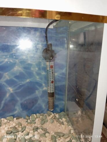 Heyvanlar üçün mallar: Dördbucaq akvarium, Boş, 10 l, Ünvandan götürmə — 2