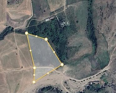 210 sot, Kənd təsərrüfatı, Mülkiyyətçi, Kupça (Çıxarış)