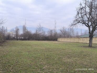 torpağ sahəsi: 20 sot, Tikinti, Mülkiyyətçi, Kupça (Çıxarış) — 3
